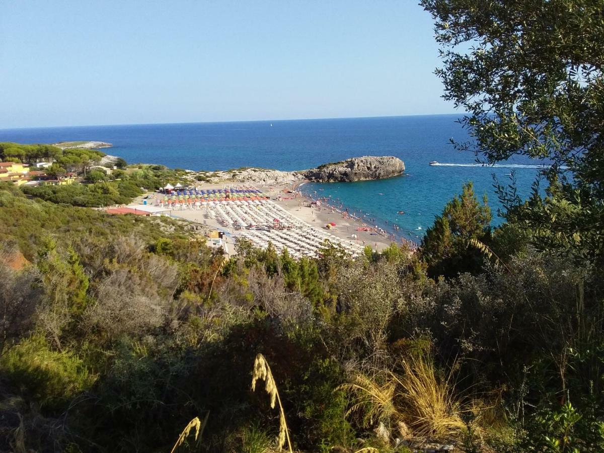 Casa Vacanze Tramonto Lejlighed Marina di Camerota Eksteriør billede